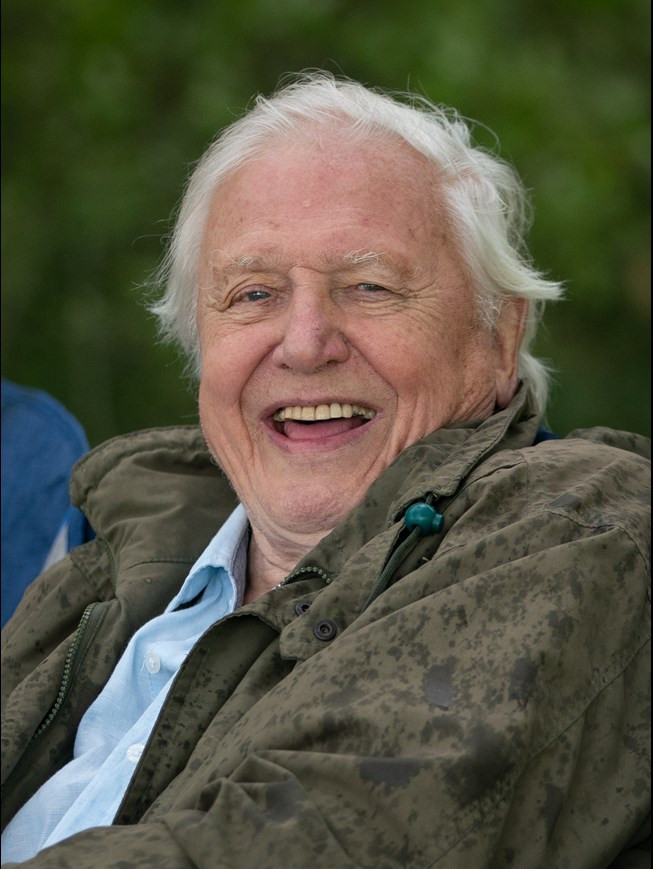 Review of the book “Adventures of a Young Naturalist: The Zoo Quest Expeditions”, by David Attenborough.