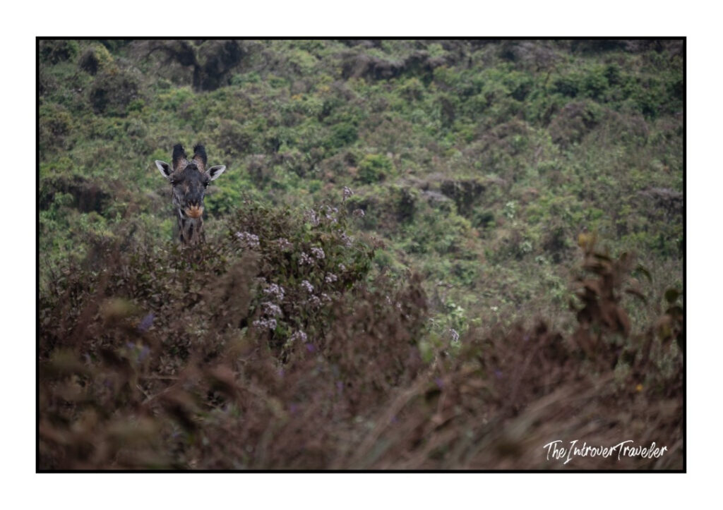 Tanzania