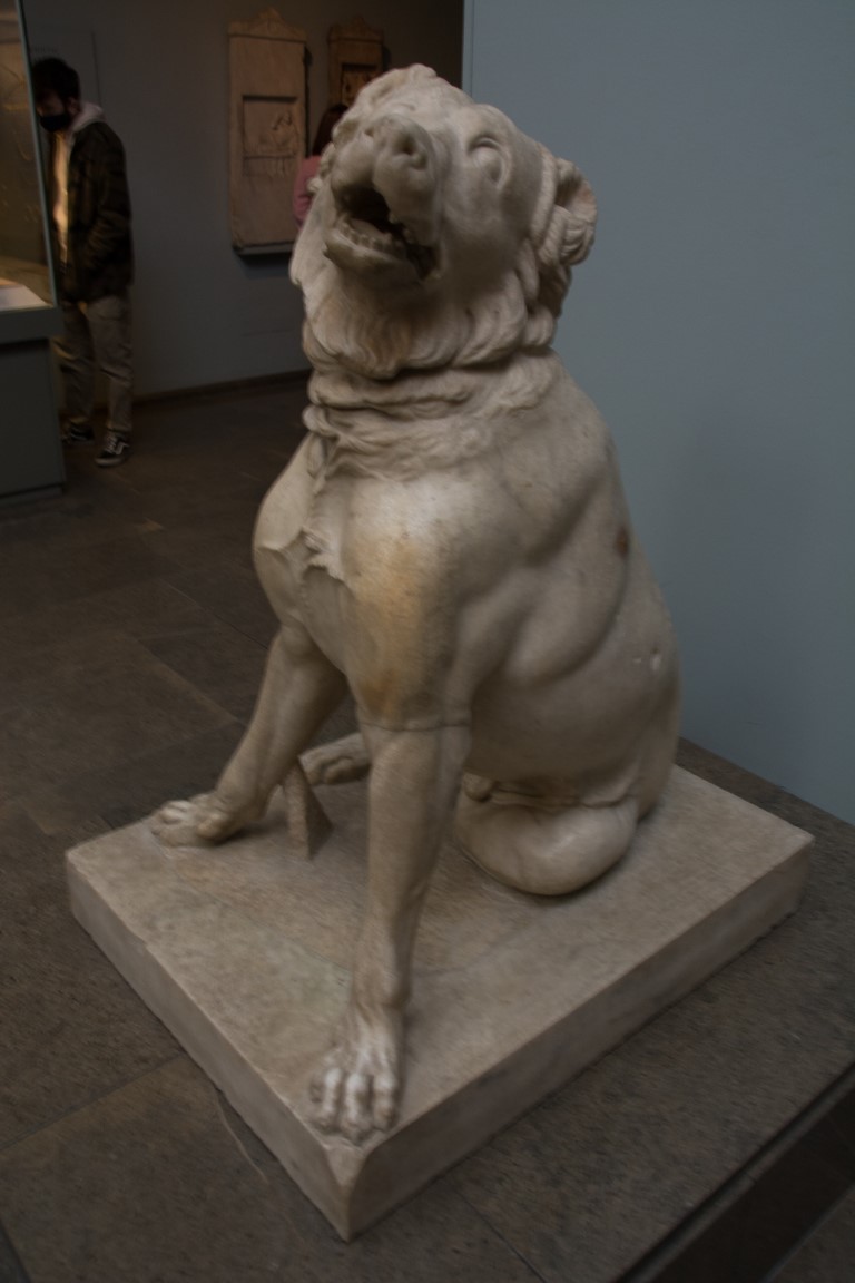Ancient Roman marble dog sculpture on display at the British Museum, London