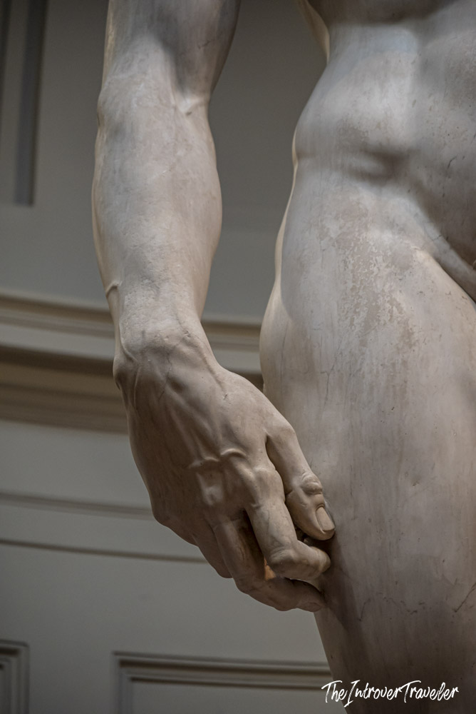 Close-up of Michelangelo's David hand and torso, showing intricate marble detail at Galleria dell'Accademia