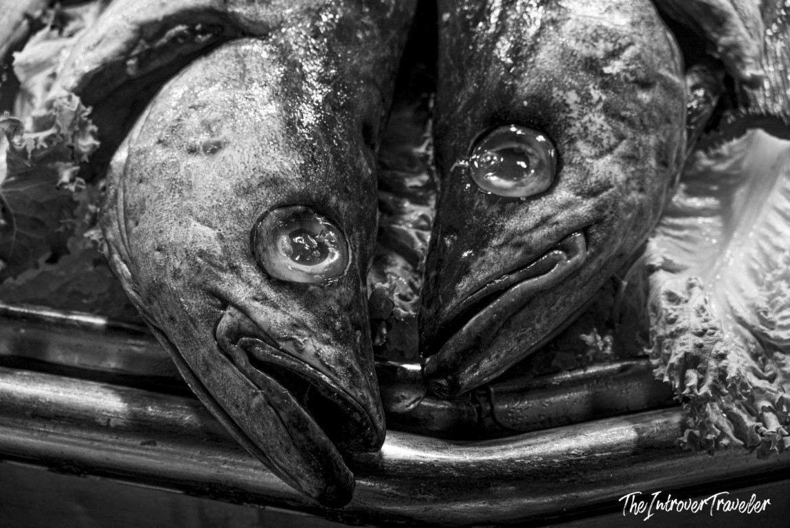 Two whole fresh fish heads displayed side by side at a coastal city fish market, close-up black and white