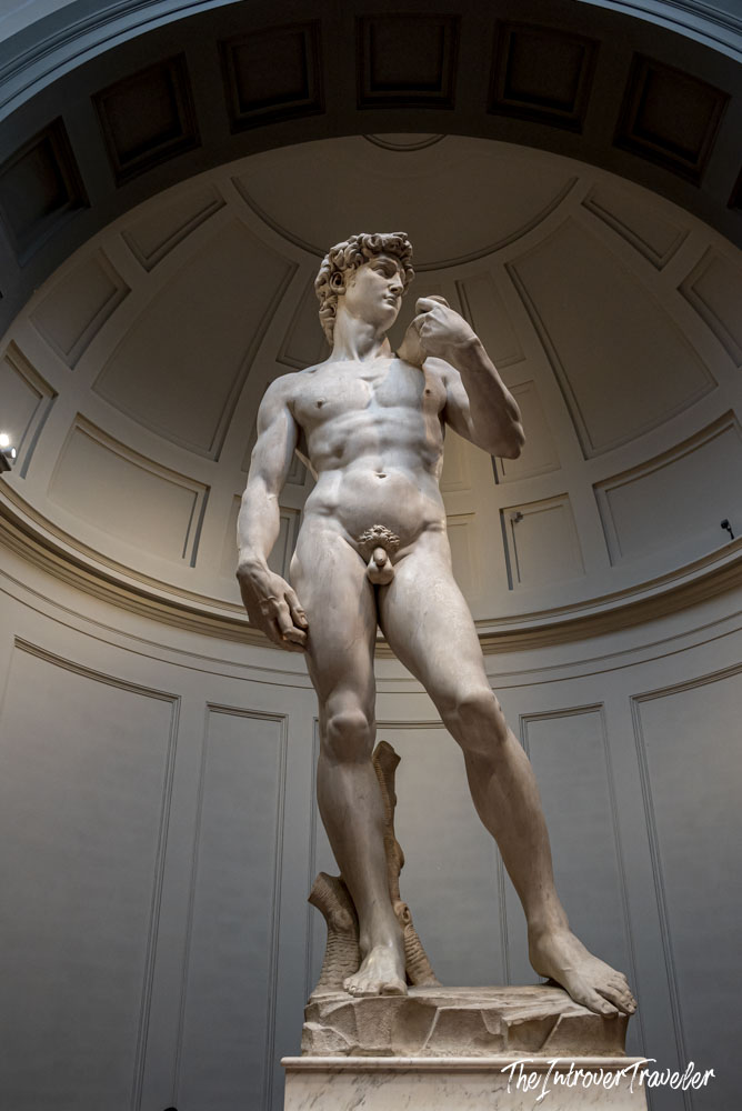 Michelangelo's David statue viewed from below, inside the Galleria dell'Accademia in Florence
