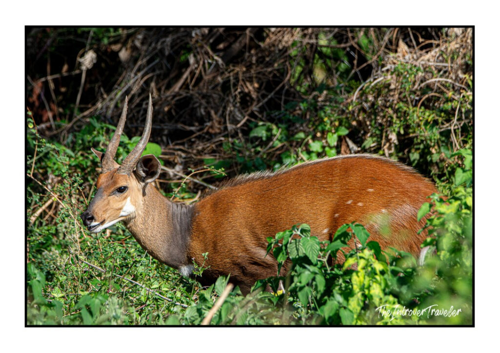 Tanzania