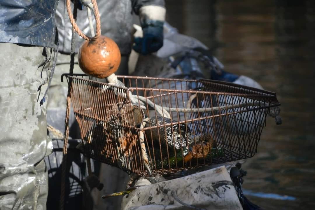 Diver pulling a rusty wire basket of debris from a Venice canal during a cleanup dive
