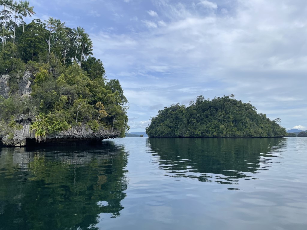Jungle-covered limestone islands rising from calm turquoise waters in Raja Ampat, Indonesia
