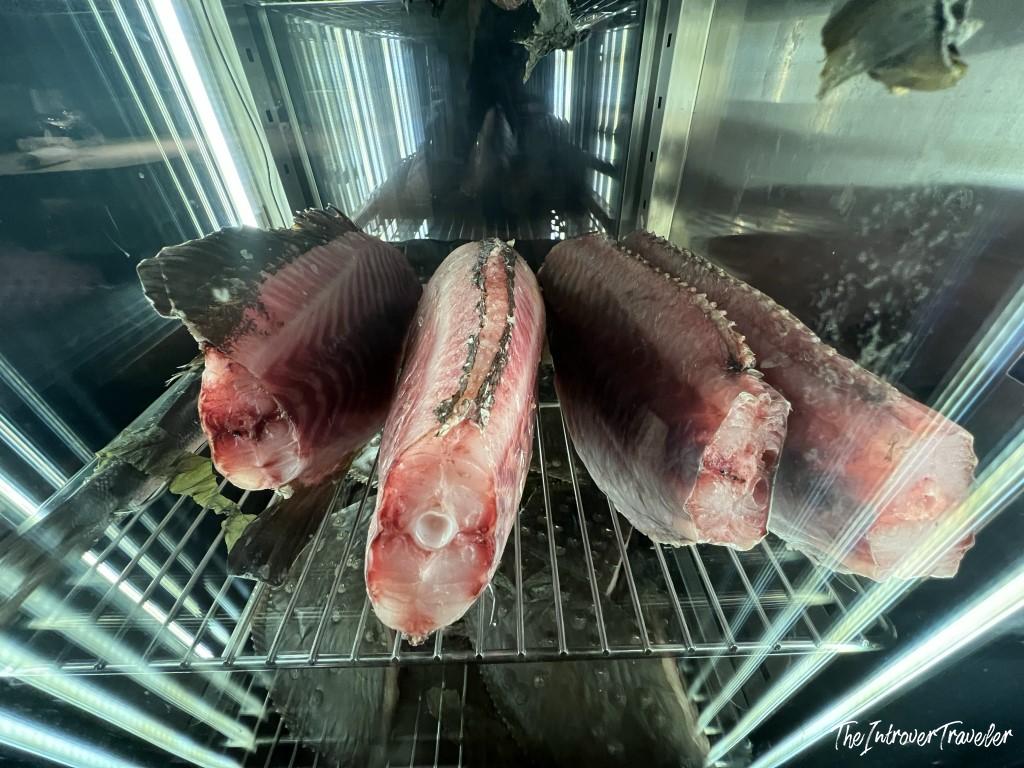 Fresh whole fish cuts aging on refrigerated display rack at Trattoria Da Lucio, Rimini seafood restaurant