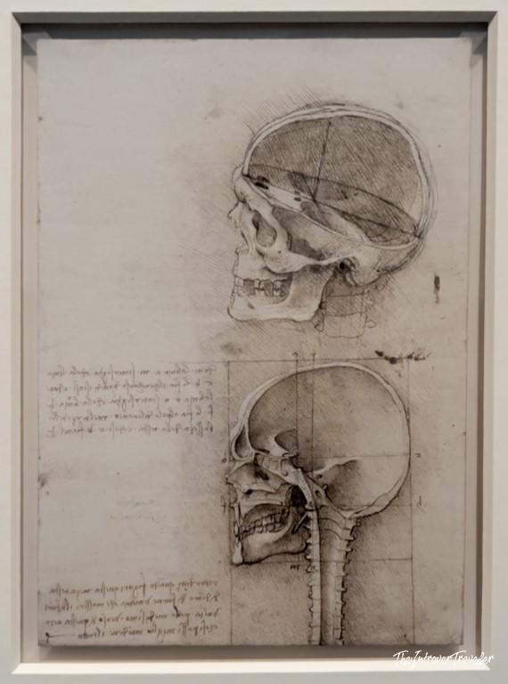 Leonardo da Vinci anatomical skull studies, displayed at the Accademia Gallery in Venice