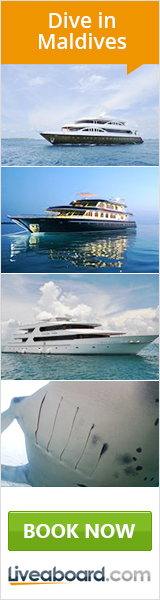 Liveaboard dive boats for diving in the Maldives, Liveaboard.com booking ad
