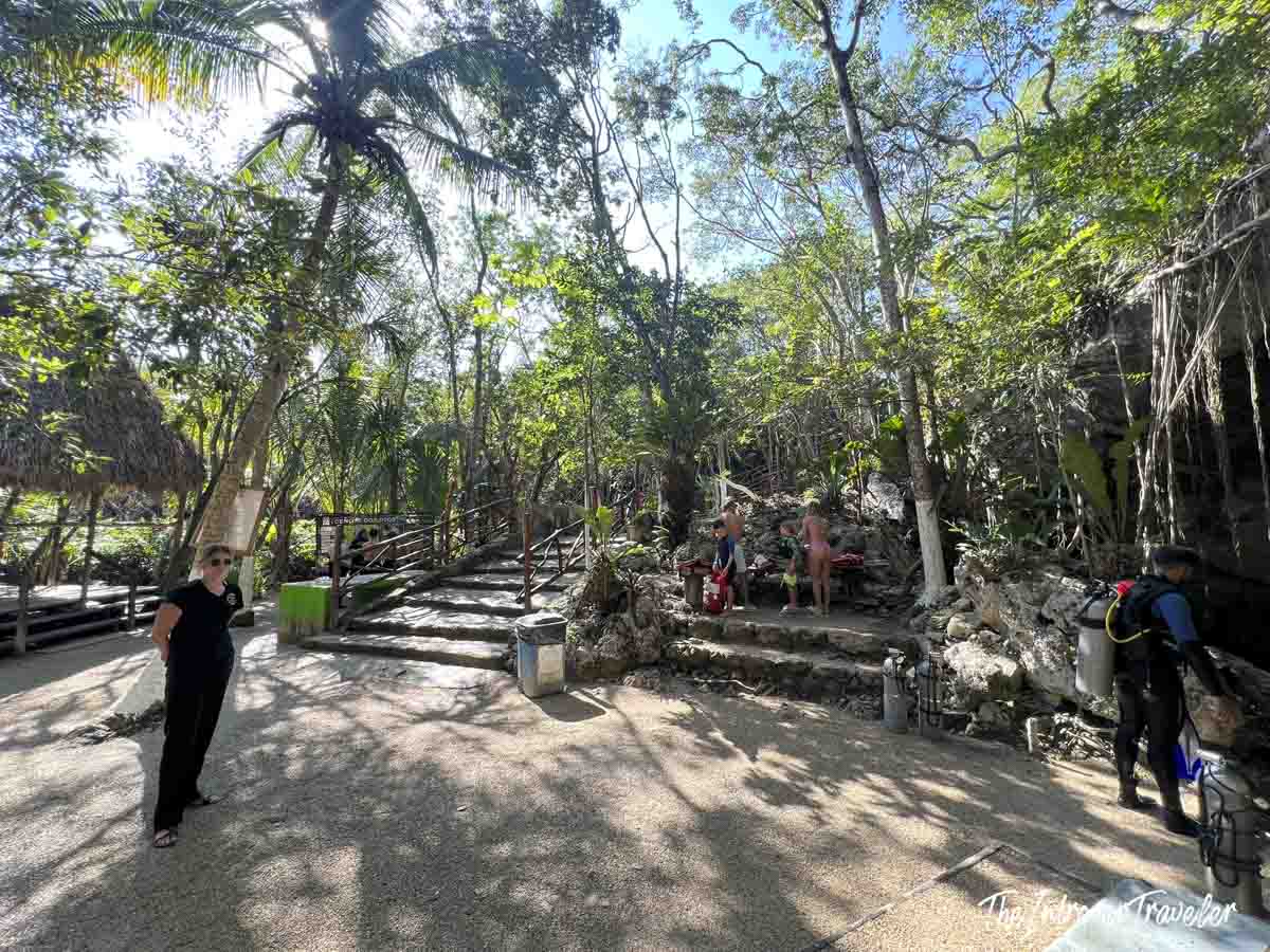Entrance area of Cenote Dos Ojos, Yucatan, with jungle surroundings and divers preparing to descend