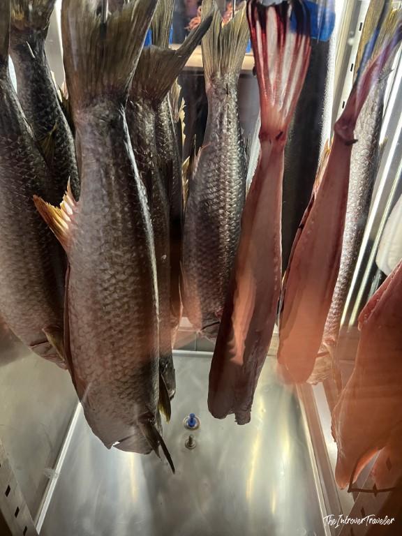 Whole smoked fish hanging in a curing cabinet at a Rimini seafood restaurant
