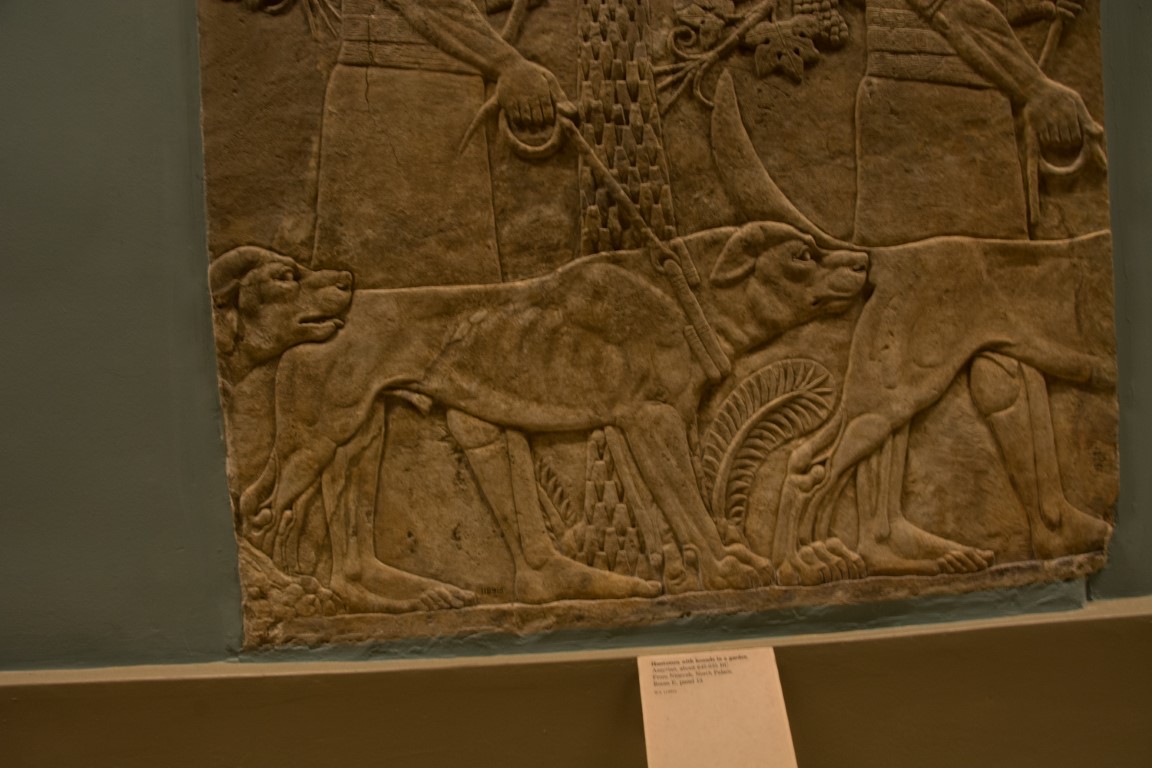 Assyrian stone relief of hounds on leash, British Museum London ancient Near East collection
