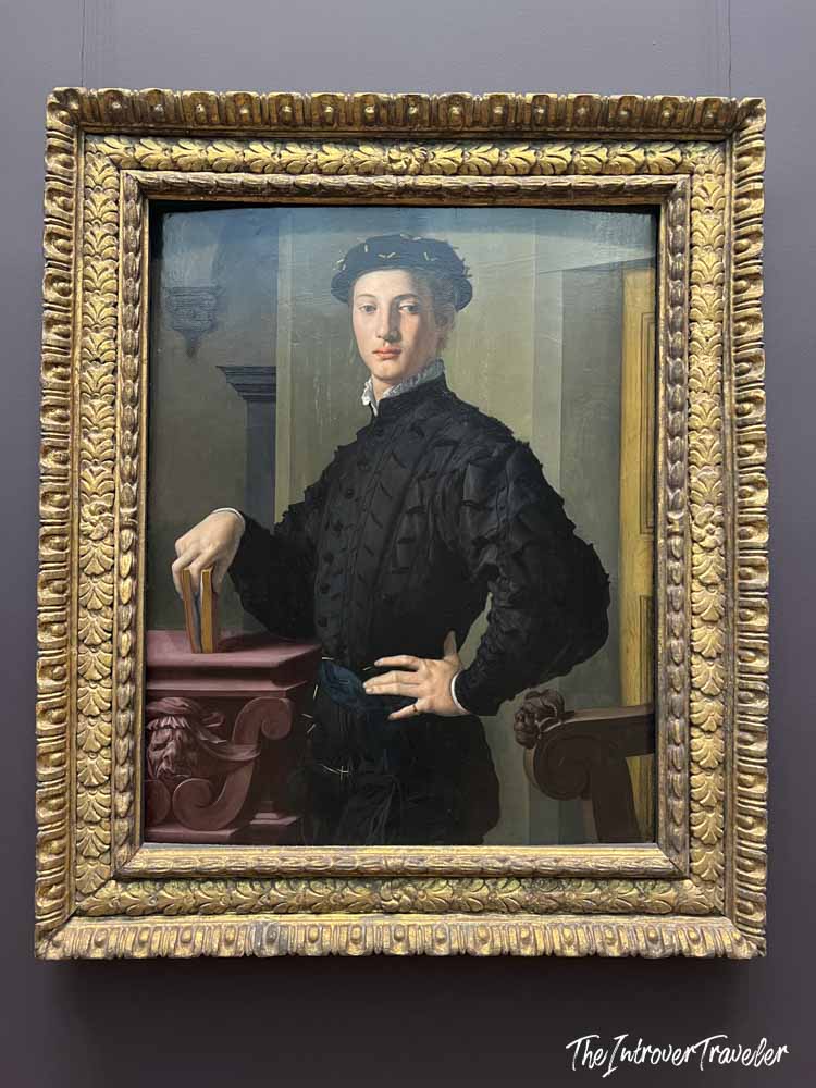 Portrait of a Young Man by Bronzino, Renaissance masterpiece displayed at the Metropolitan Museum of Art