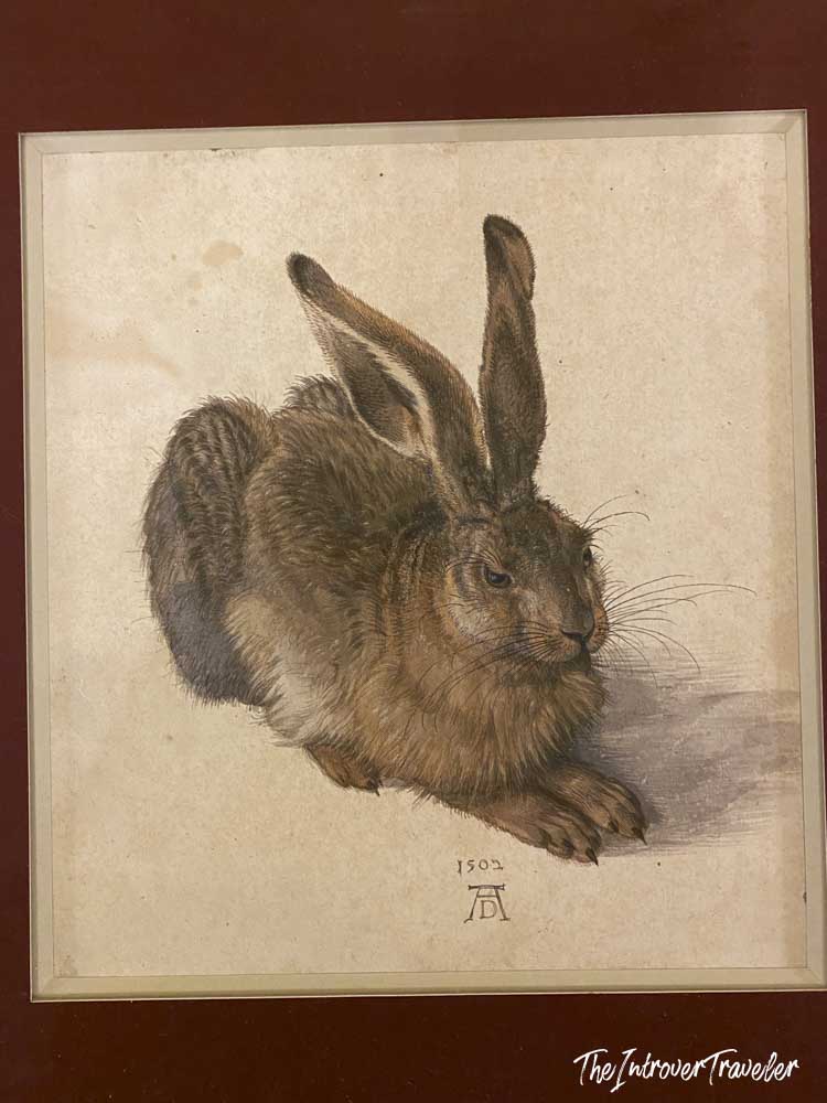 Young Hare by Albrecht Dürer (1502), a celebrated masterpiece at the Albertina Museum Vienna