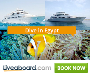Liveaboard.com Red Sea Egypt diving boats and clownfish in coral reef
