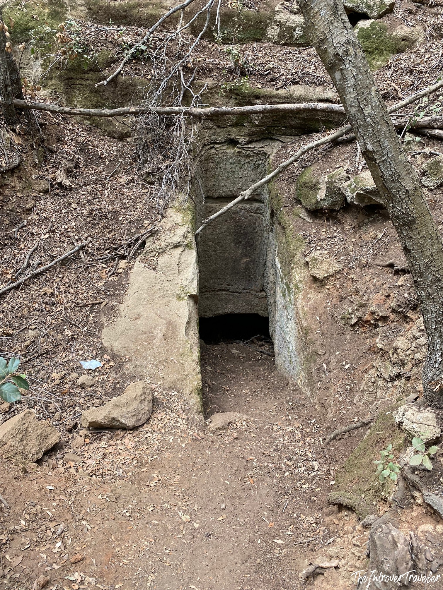 Narrow entrance to an Etruscan rock-cut tomb along the Cala Moresca trail, near San Quirico church