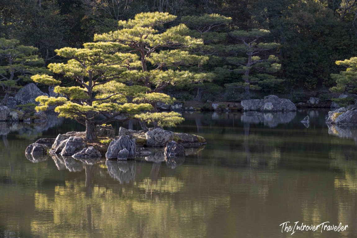 Pine tree on a rocky island reflected in Kyoto's Kinkaku-ji garden pond, Kyoto Japan