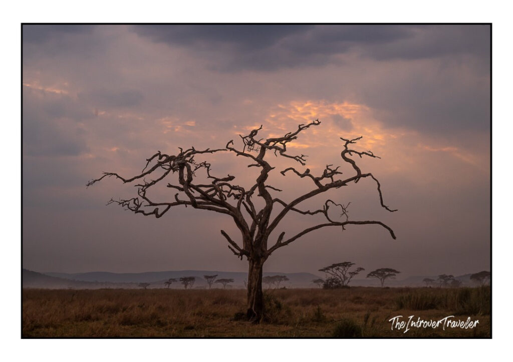 Tanzania travel guide: Safaris, the Ocean, and the Geographical Myth of East Africa