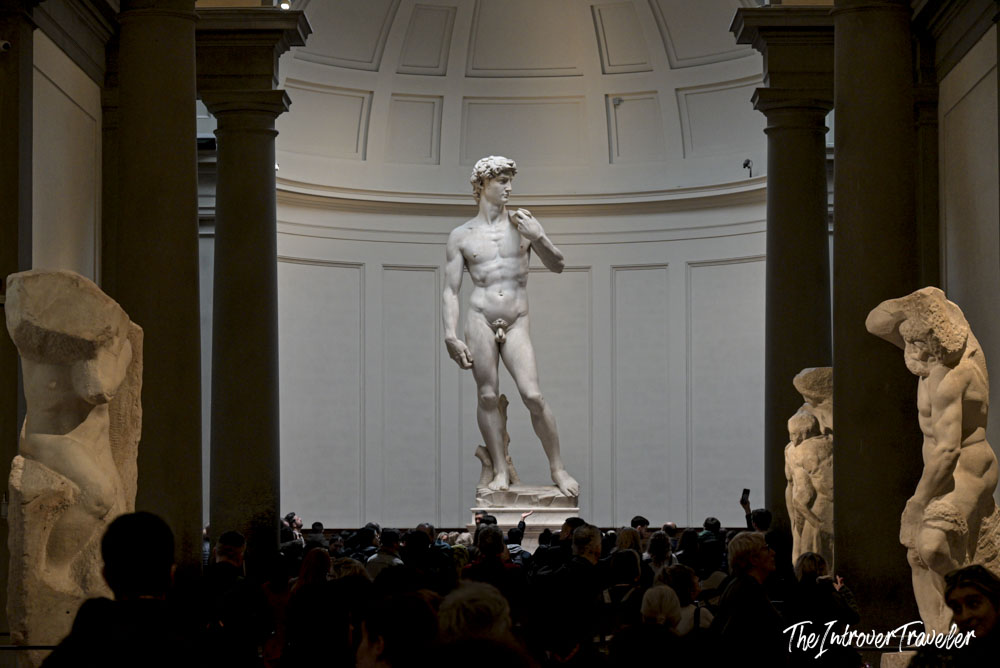 Michelangelo's David at the Galleria dell'Accademia, crowds of silent visitors below