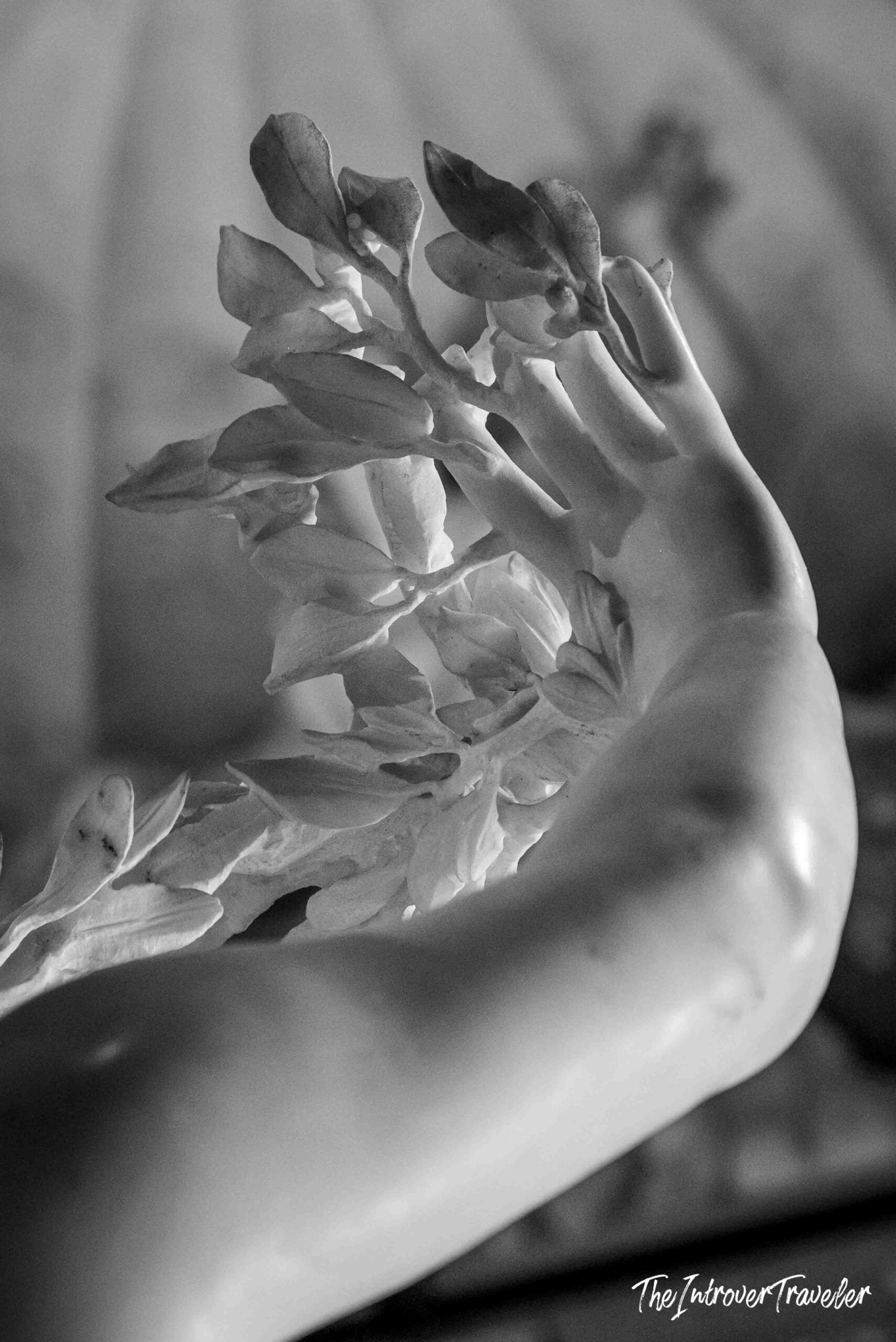Close-up of Daphne's hands transforming into laurel branches in Bernini's Apollo and Daphne, Borghese Gallery Rome