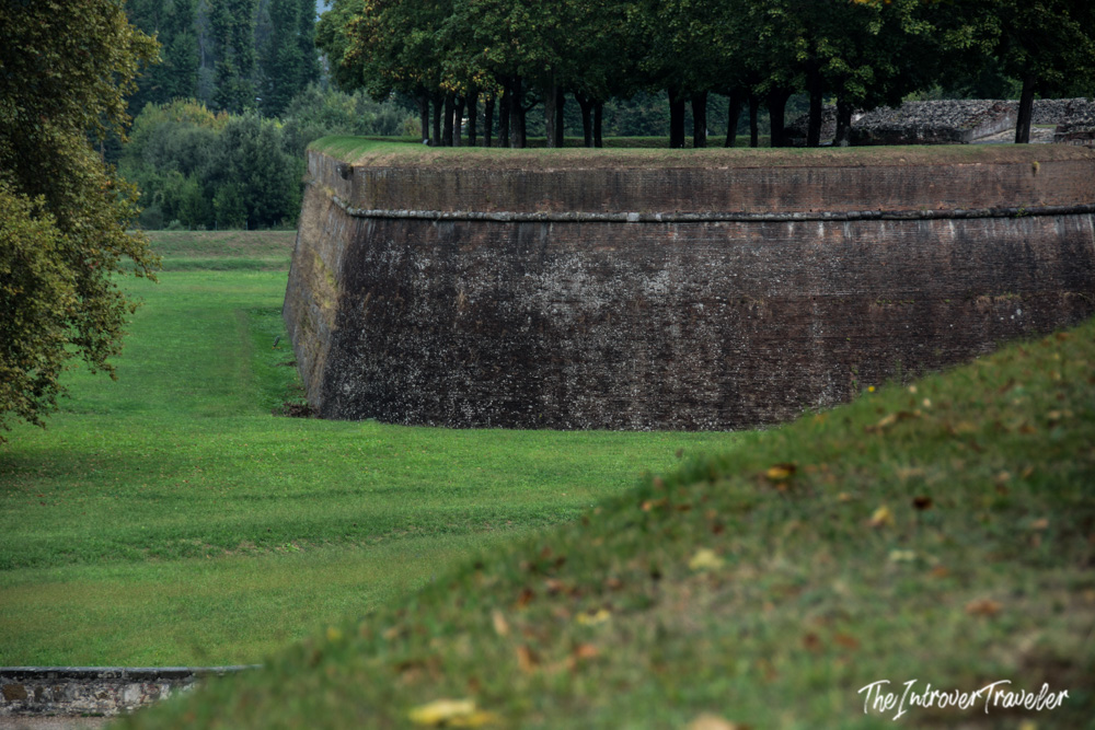 Lucca's Renaissance city walls with tree-lined ramparts and green moat, Tuscany, Italy