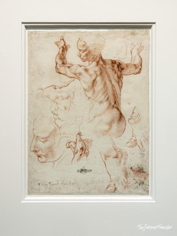 Michelangelo red chalk anatomical study of a male figure, displayed at the Accademia Gallery Venice