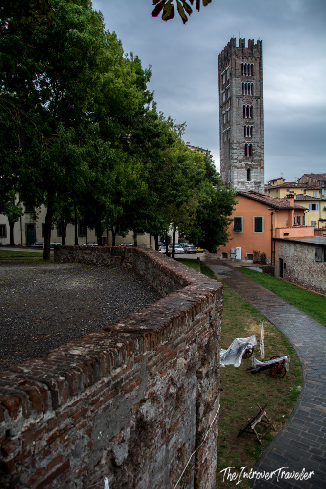 View from Lucca's medieval city walls toward the tower of San Frediano basilica, Tuscany