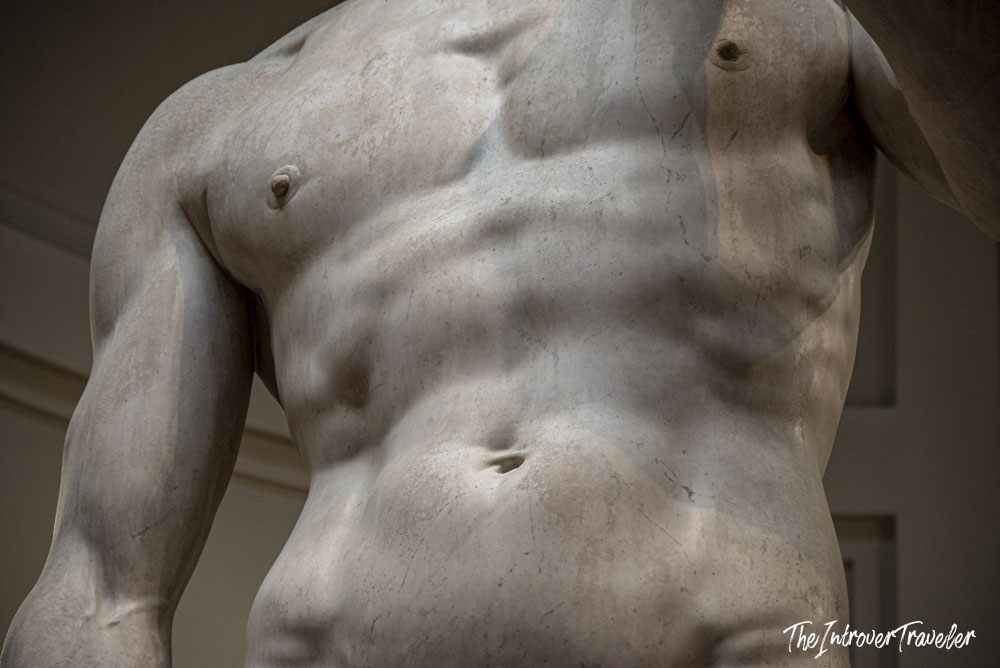 Close-up of Michelangelo's David torso, showcasing the statue's detailed marble musculature at the Galleria dell'Accademia in Florence