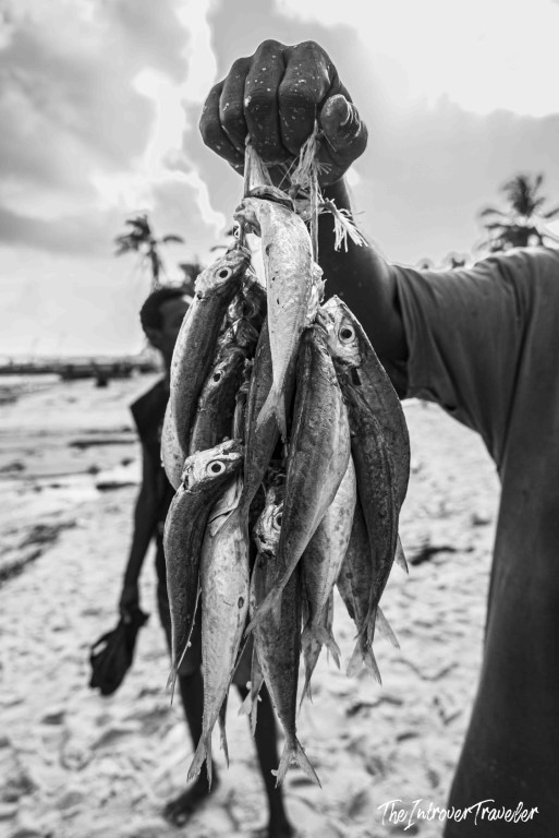 Fisherman holding a fresh catch of small fish on a tropical coastal beach at a local fish market