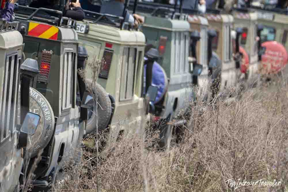 Row of Tanzania safari jeeps with tourists crowded together in dry savanna grassland