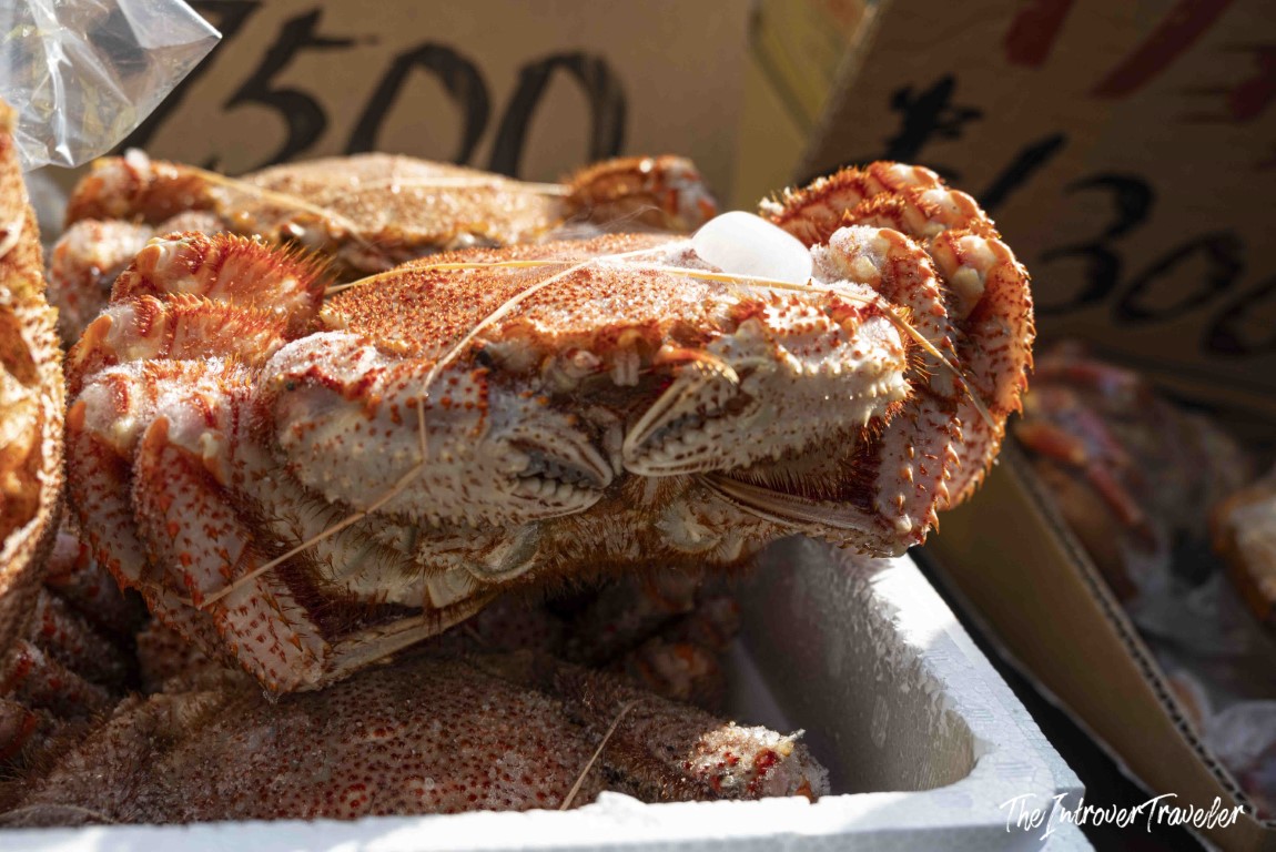 Fresh hairy crab for sale at Tsukiji fish market Tokyo, priced at 500 yen