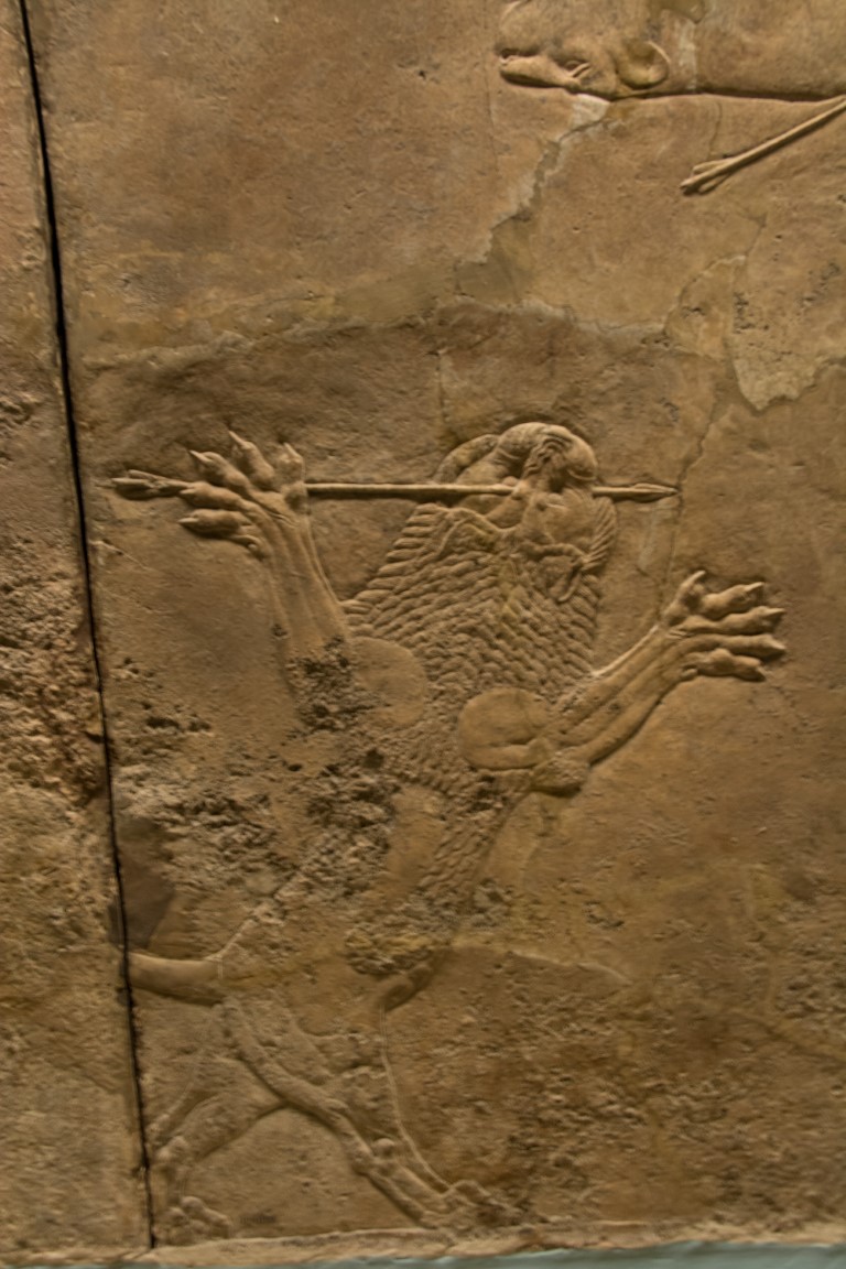 Assyrian stone relief carving of a dying lion, British Museum London collection