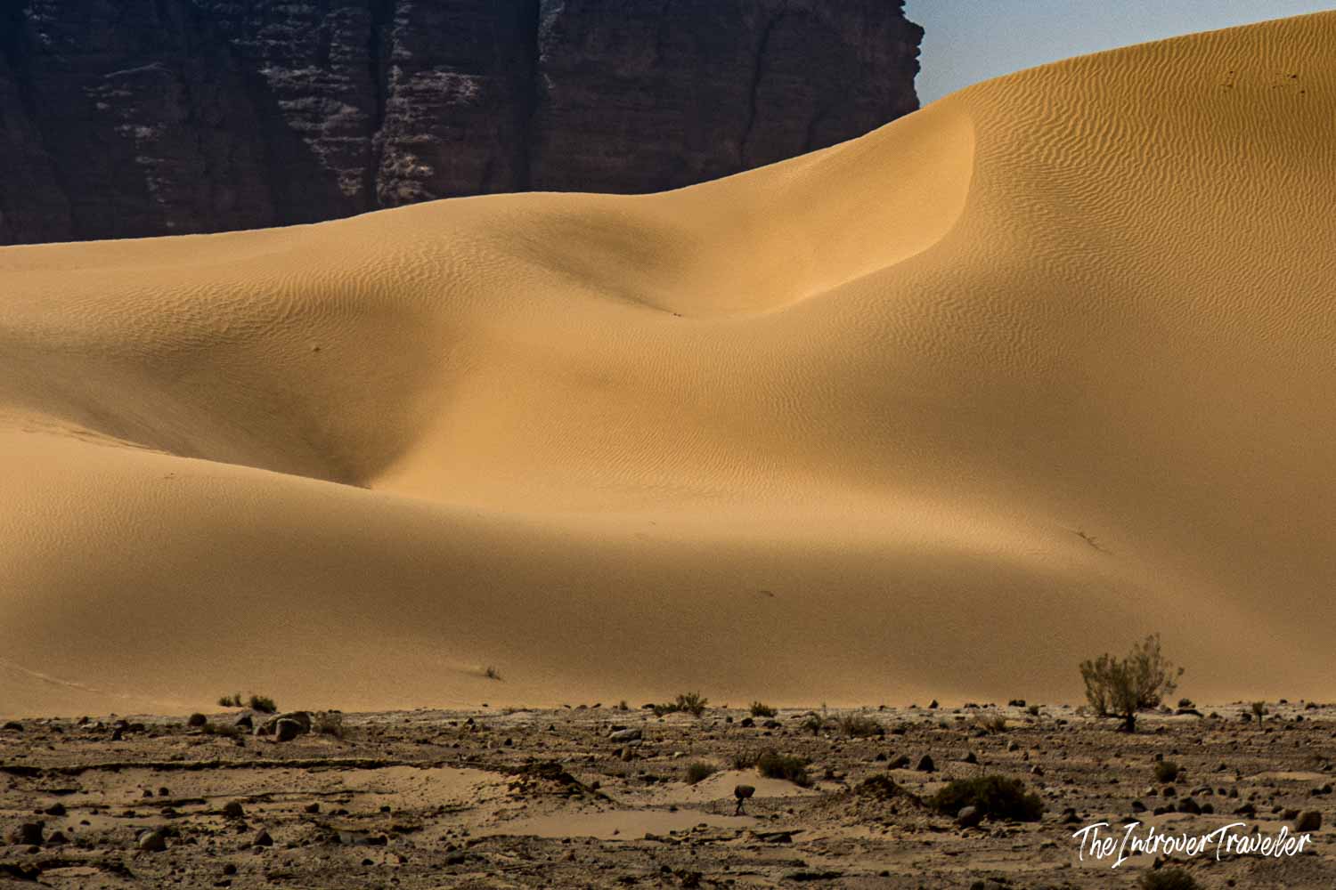 Towering golden sand dunes against red sandstone cliffs in Wadi Rum desert, Jordan