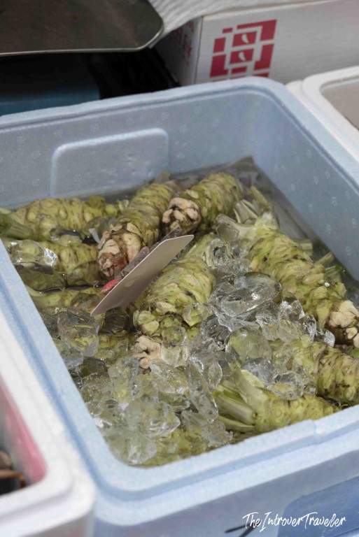 Fresh wasabi rhizomes packed in ice at Tsukiji fish market, Tokyo, sold alongside sushi ingredients