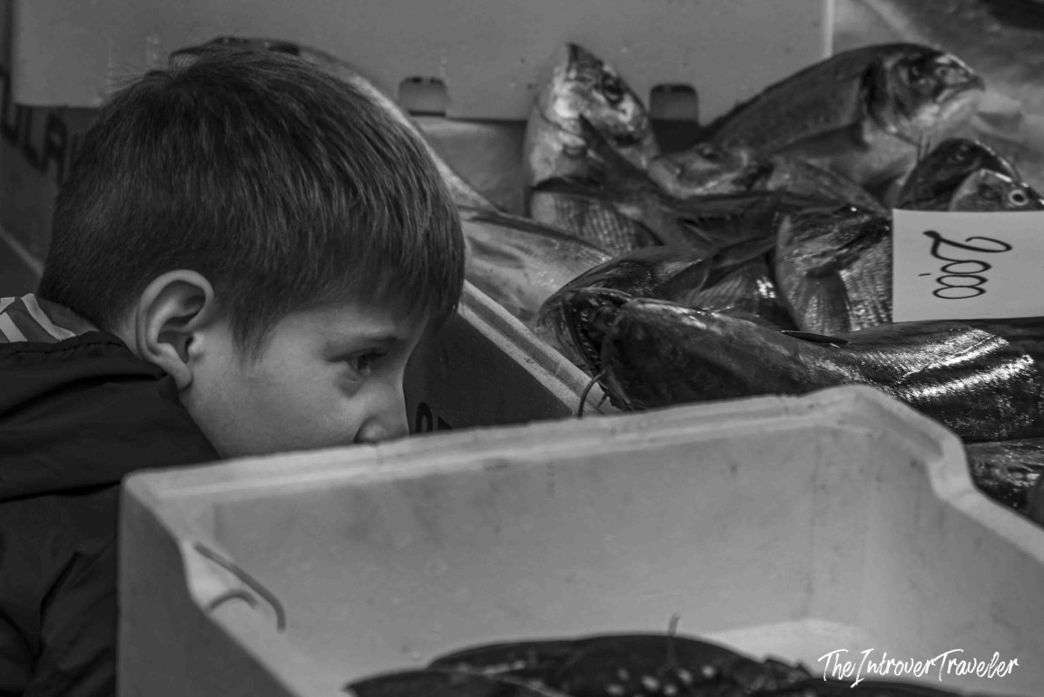 Young boy peering curiously into a crate of fresh fish at a bustling coastal city market