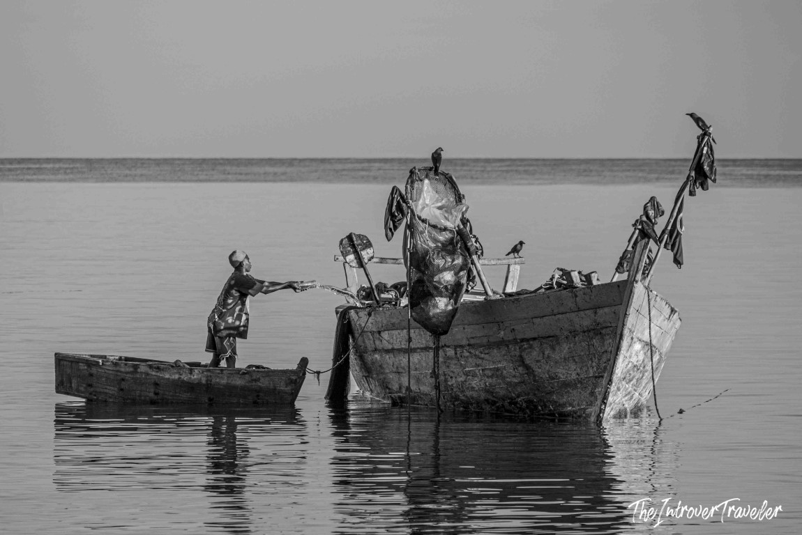 Local fisherman casting nets from a wooden boat near a coastal fish market, with birds perched on the hull