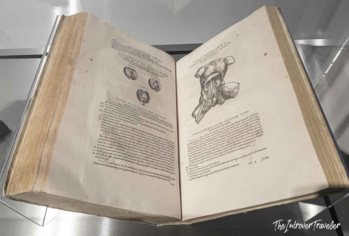 Open spread of Vesalius De Humani Corporis Fabrica, displayed at the Accademia Gallery Venice