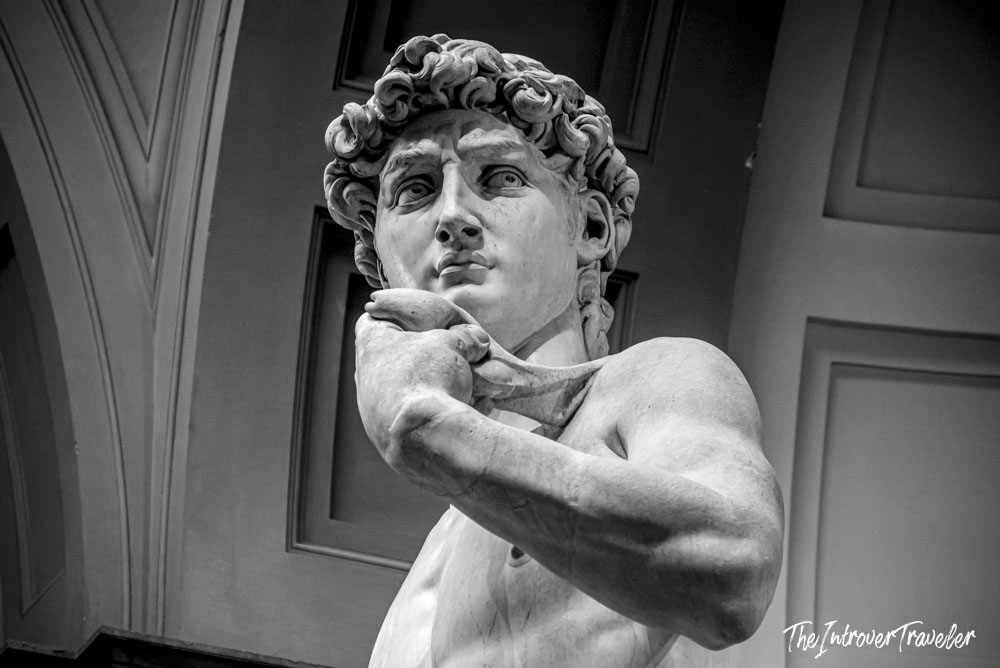 Close-up of Michelangelo's David, showing the intense gaze and raised arm, Galleria dell'Accademia, Florence