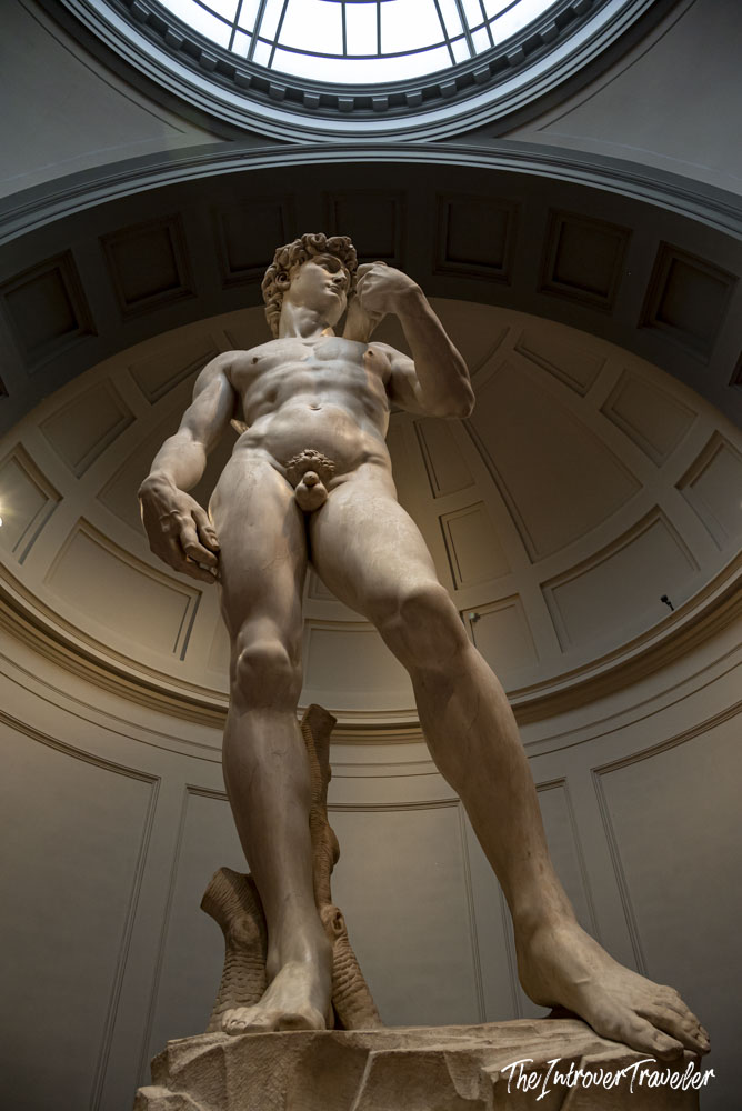 Michelangelo's David viewed from below, under the Galleria dell'Accademia skylight, Florence