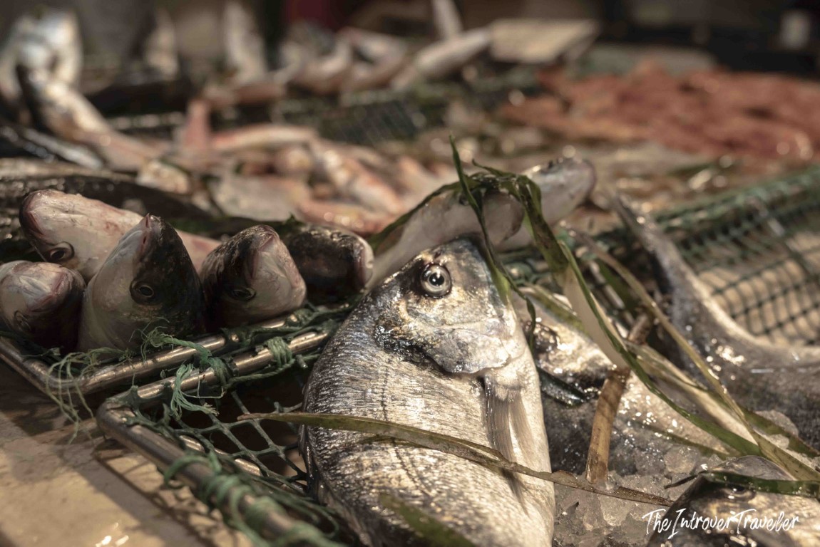 Fresh catch displayed on fishing nets at a bustling coastal city fish market