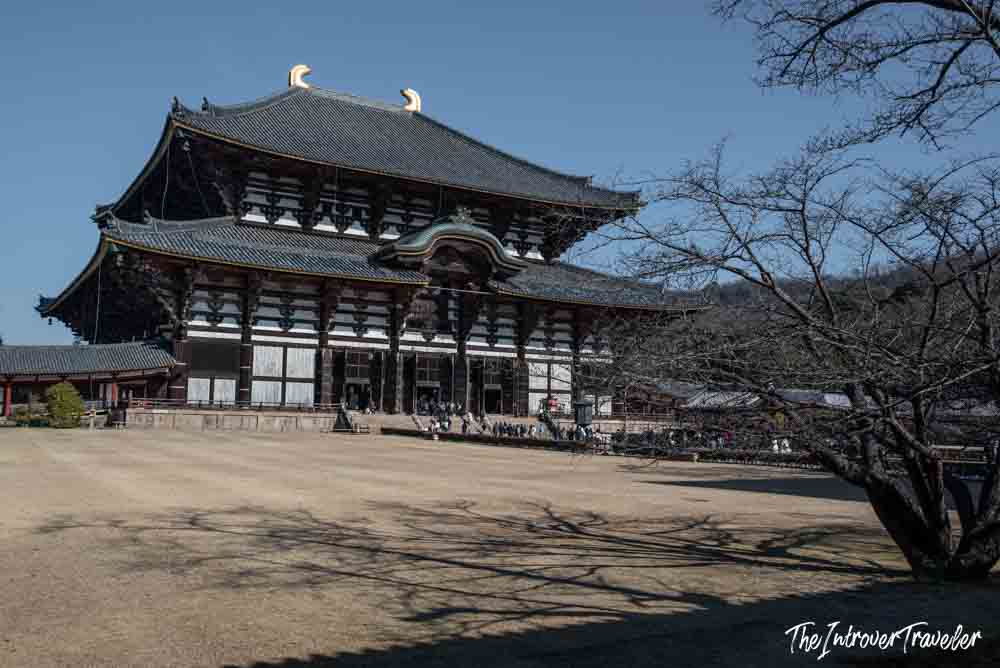 Todaiji Temple Great Buddha Hall facade in Nara, Japan, framed by bare winter trees