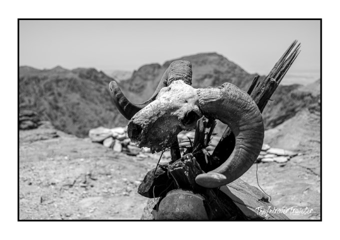 Horned animal skull mounted on sticks atop a rocky ridge in Petra, Jordan desert landscape
