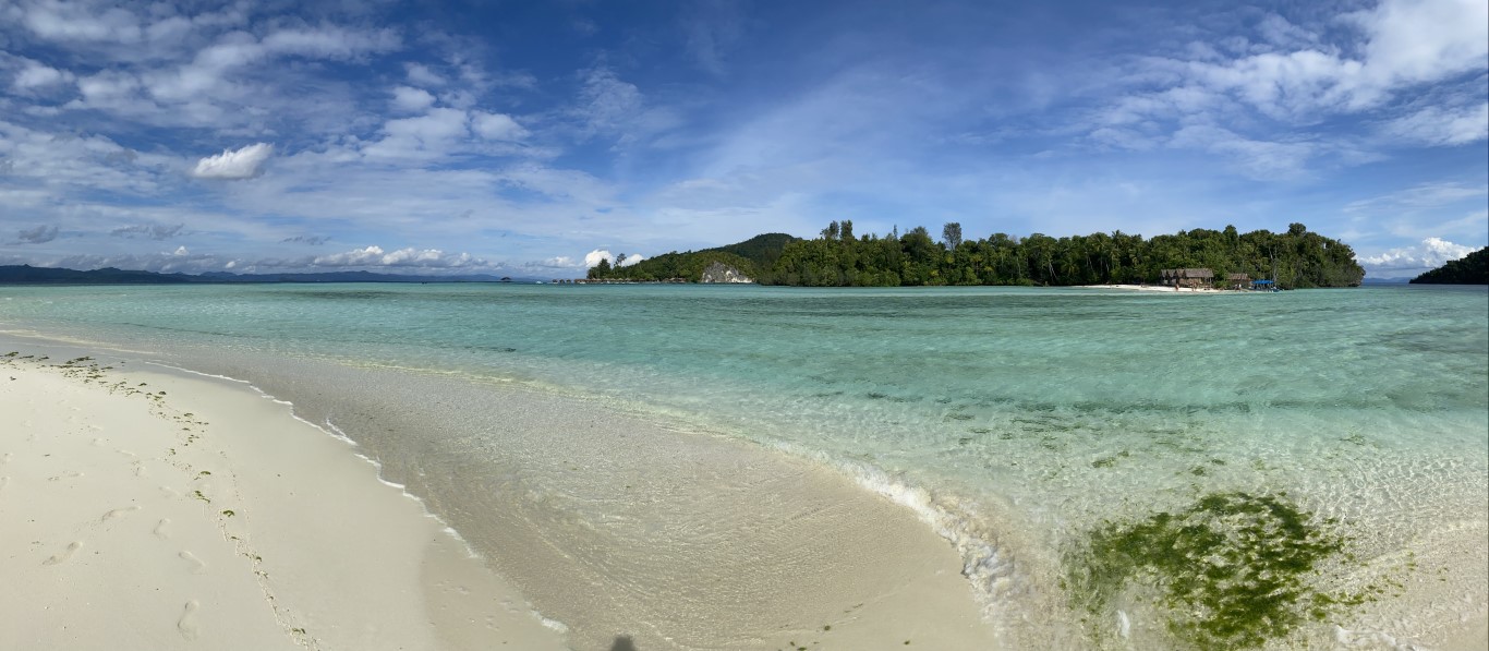 Pristine white sand beach and turquoise lagoon framing a jungle island in Raja Ampat, Indonesia