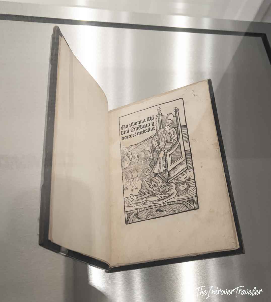 Anathomia Mundini, a rare medieval anatomy manuscript, displayed open in a museum case at the Accademia Gallery Venice
