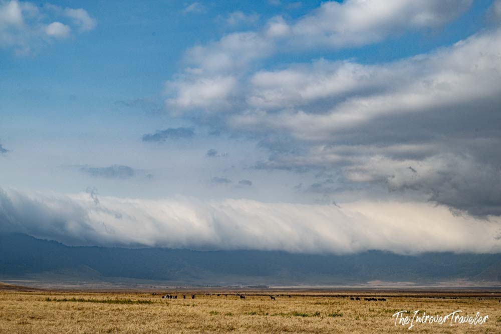 Vast Ngorongoro Crater floor with grazing wildlife under dramatic storm clouds, Tanzania safari