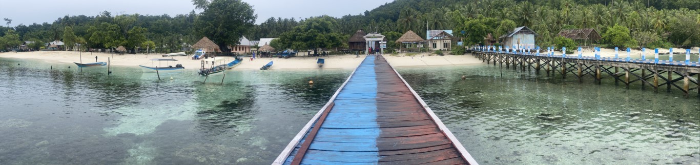 Blue wooden jetty leading to a small Raja Ampat island village, with traditional boats and white sand beach