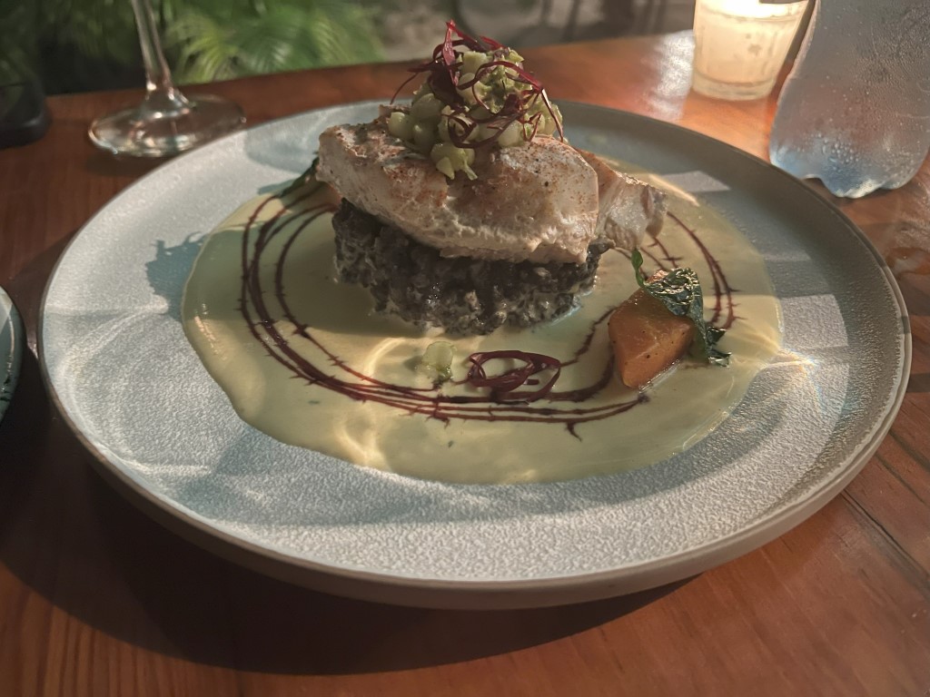 Elegantly plated main course at Kondesa Cozumel, with cream sauce, microgreens, and balsamic drizzle