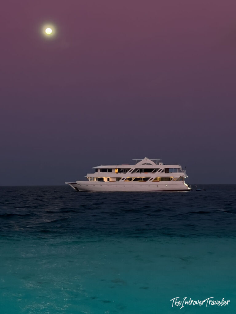 Diving in the Maldives: Everything You Need to Know