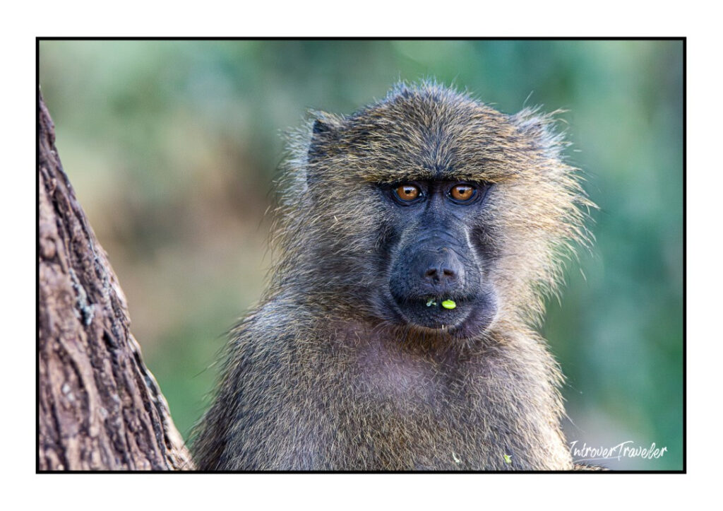 Tanzania
