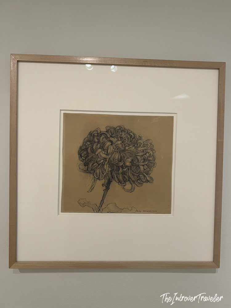Piet Mondrian chrysanthemum drawing displayed at the Guggenheim Museum New York
