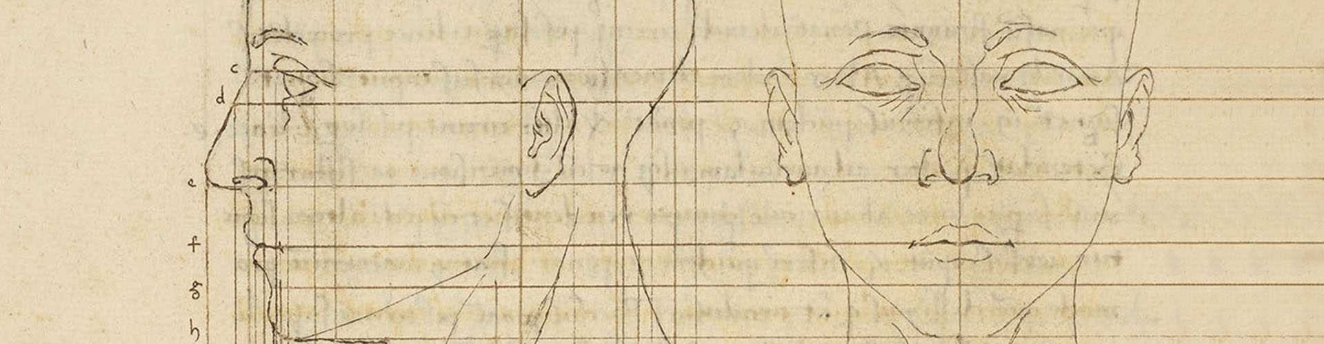 Piero della Francesca geometric face study sketch with proportional grid lines and annotations